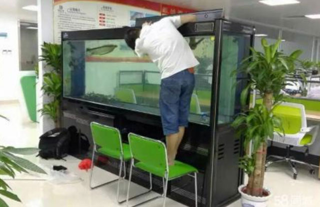 魚(yú)缸搬運(yùn)